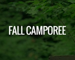 Camporees