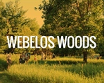 About Webelos Woods