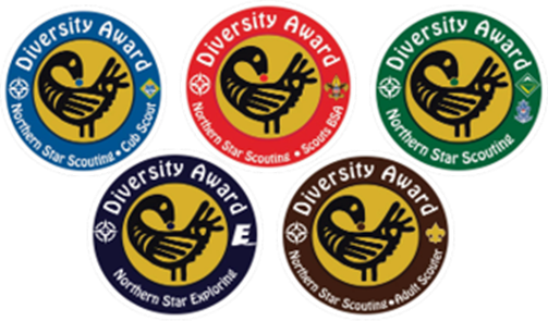 Example diversity award patches