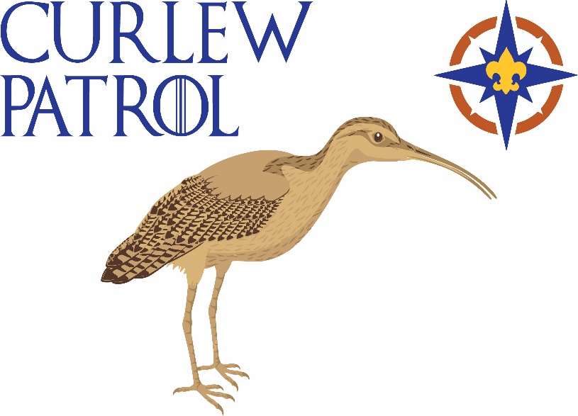 Curlew Patrol Flag